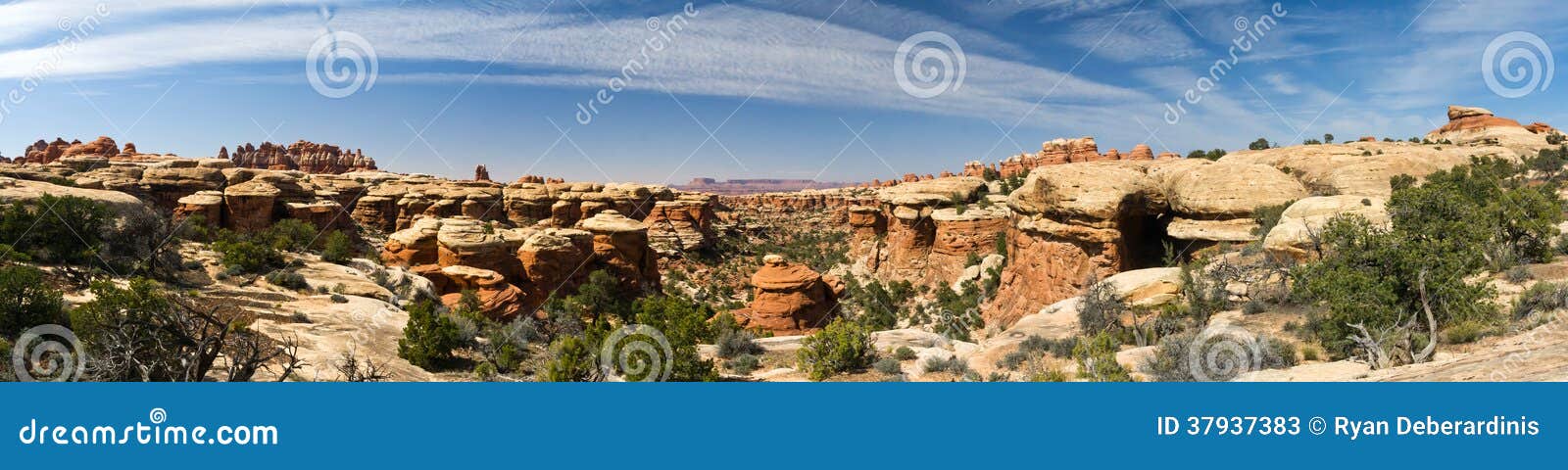 desert canyon landscape in american southwest