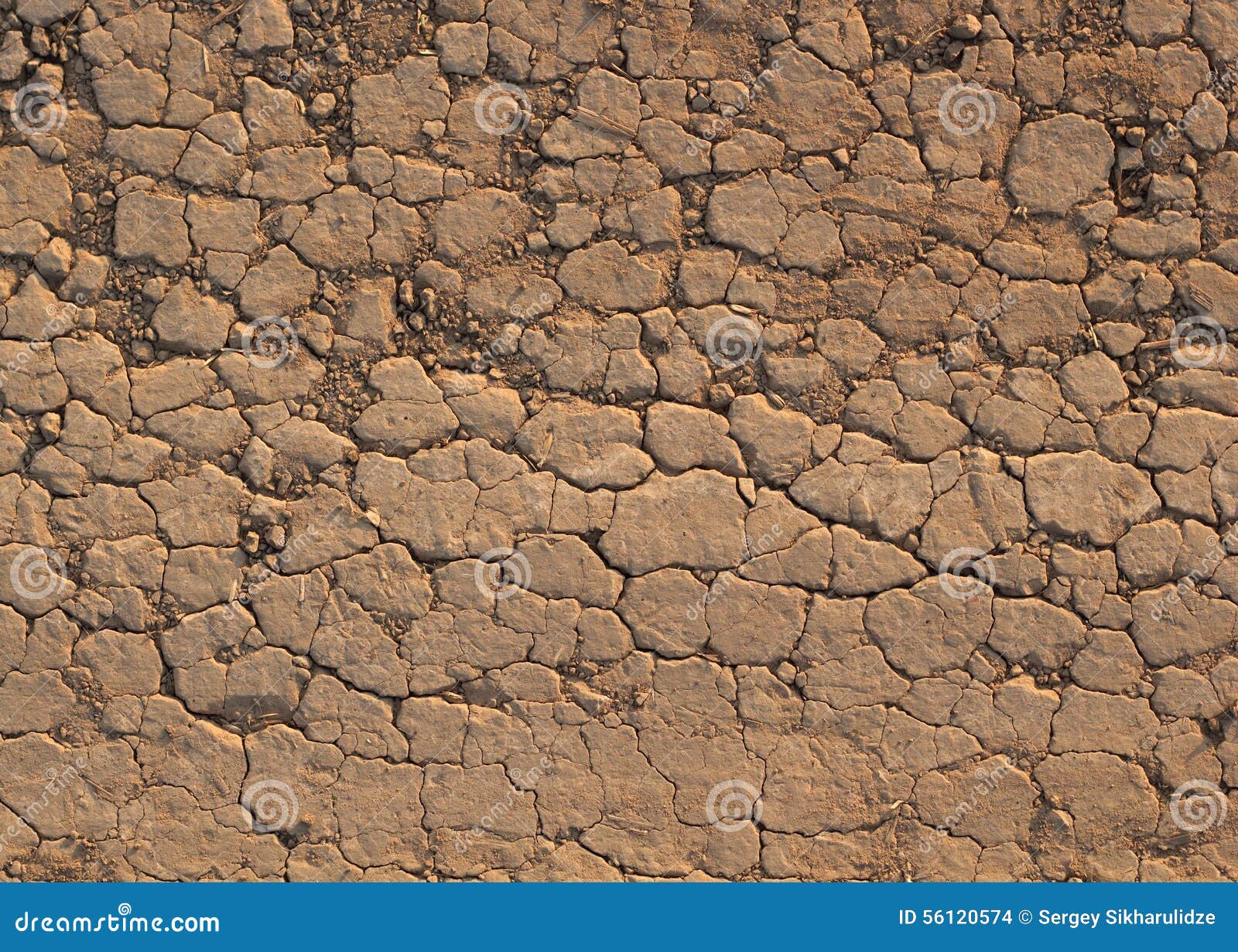 Desert crust soil stock photo. Image of waterless, crust 56120574