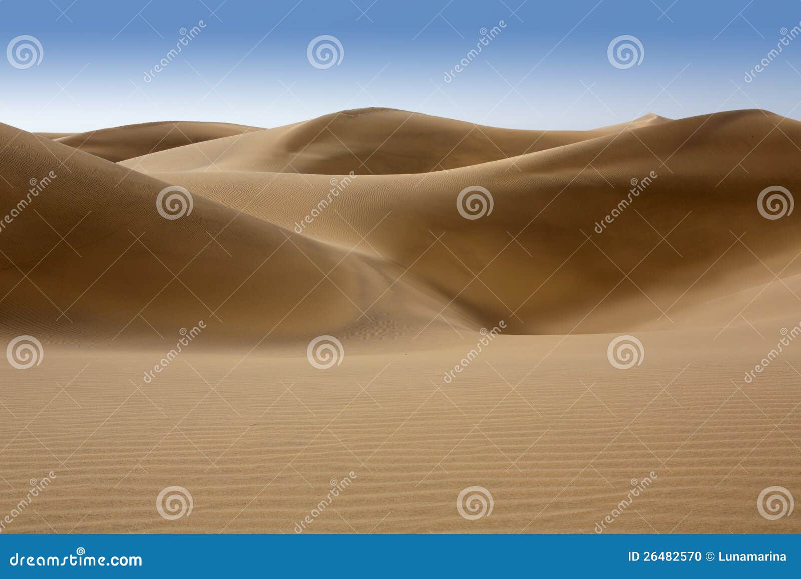 desert dunes sand in maspalomas gran canaria