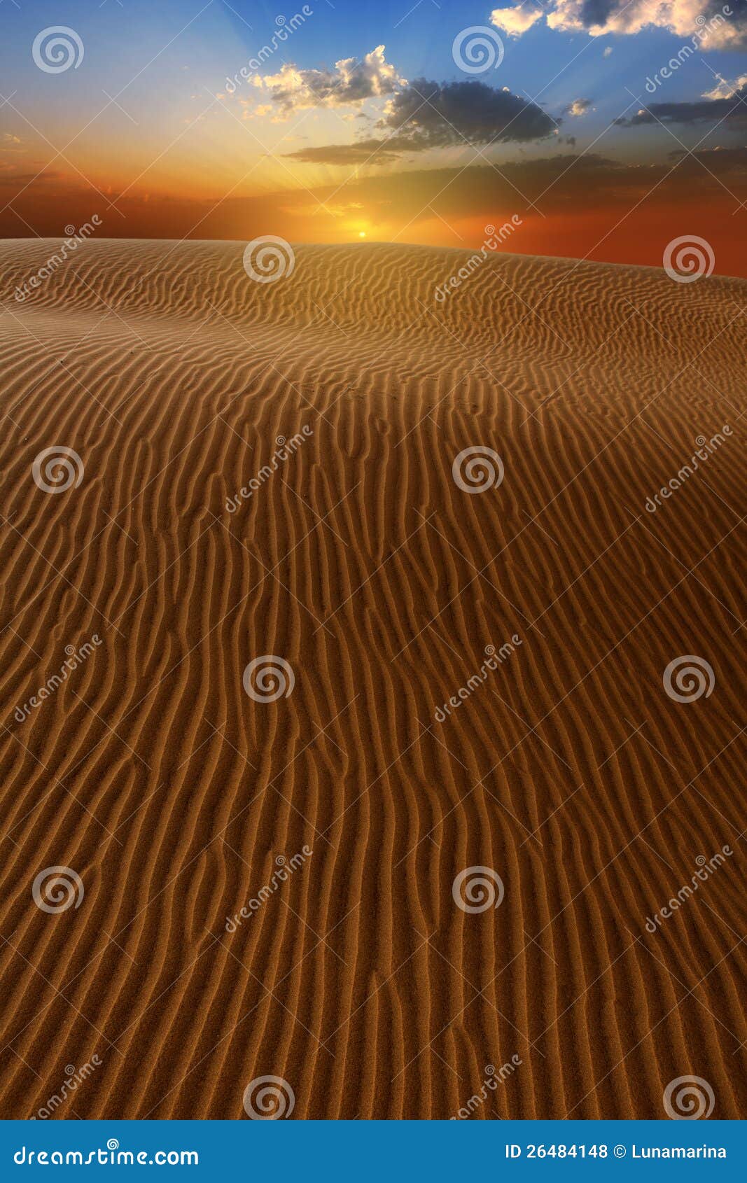 desert dunes sand in maspalomas gran canaria