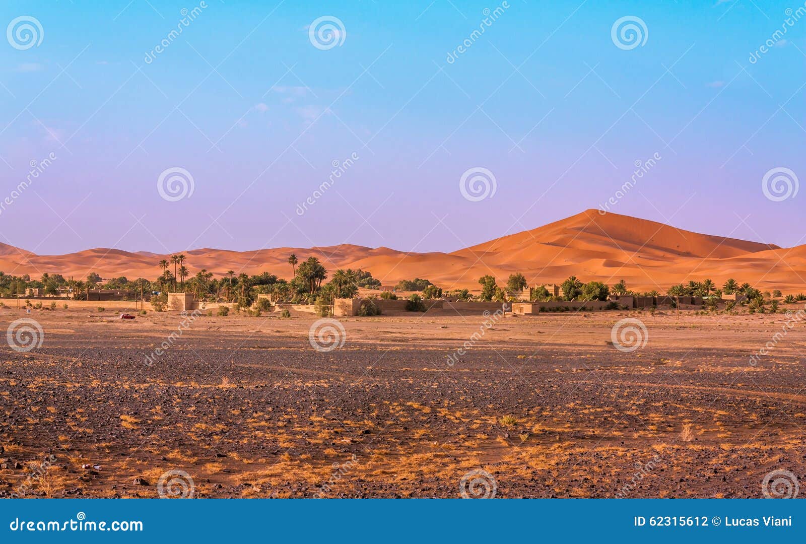 desert frontier