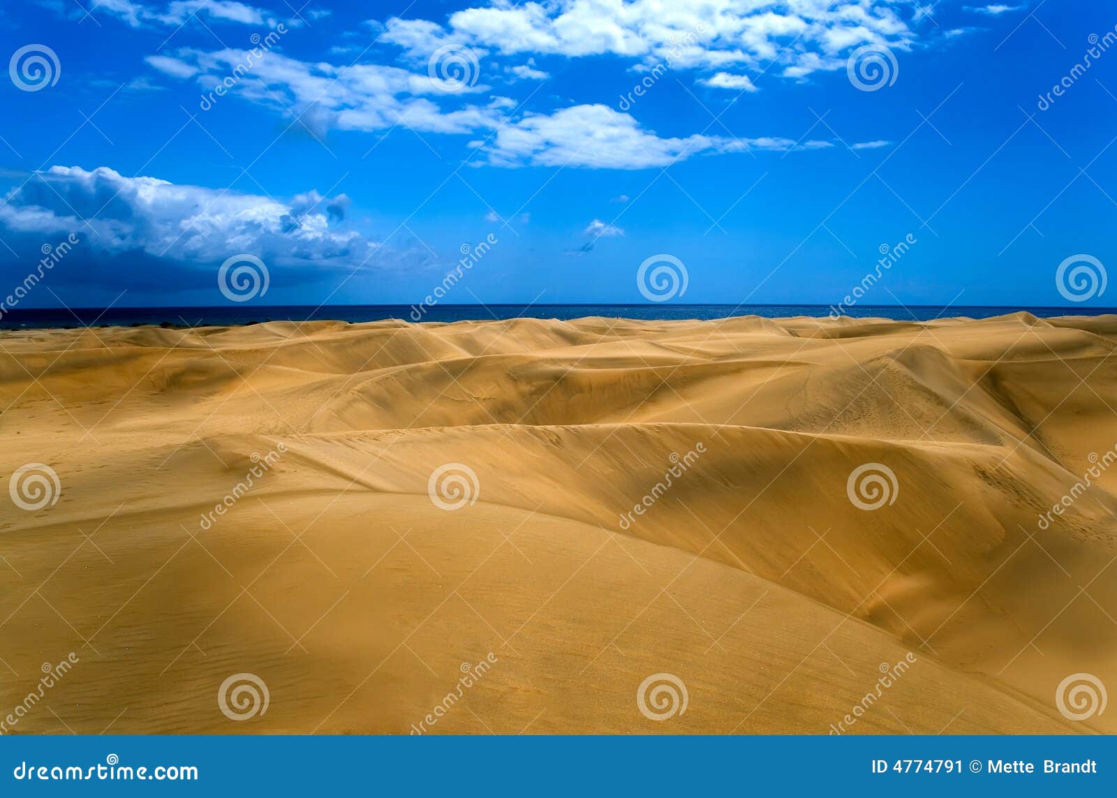 desert in gran canaria
