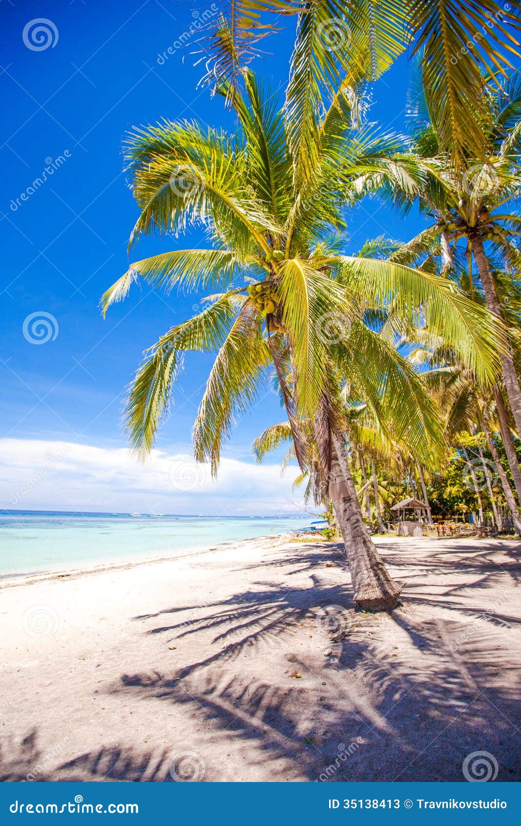 Desert Island with Palm Tree on the Beach Stock Image - Image of grove ...