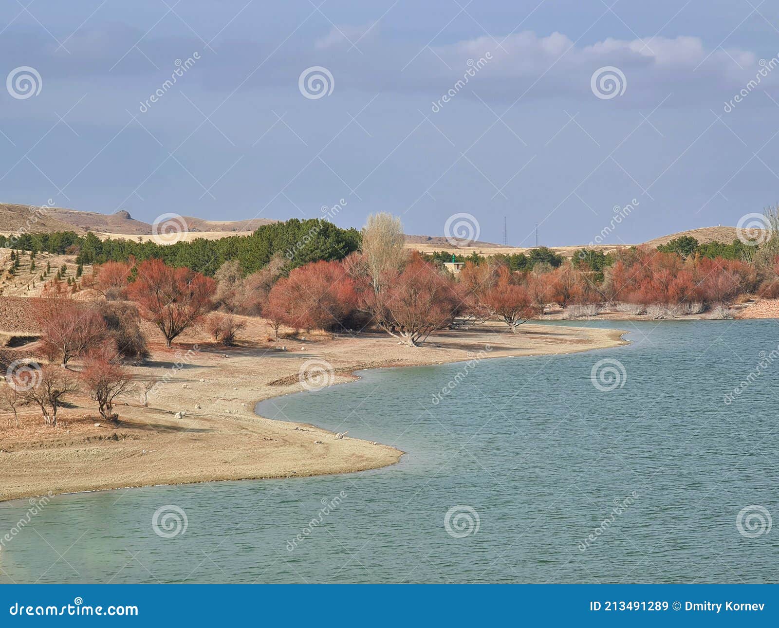a desert lake surrounded by the brightly dressed trees