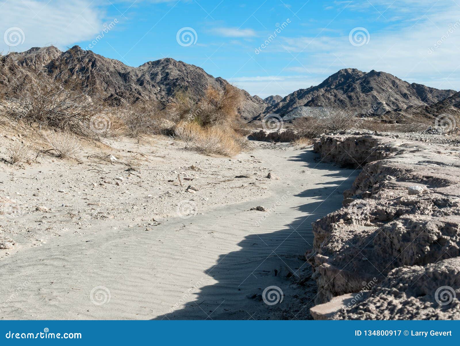 desert landscape at historic town site of tumco