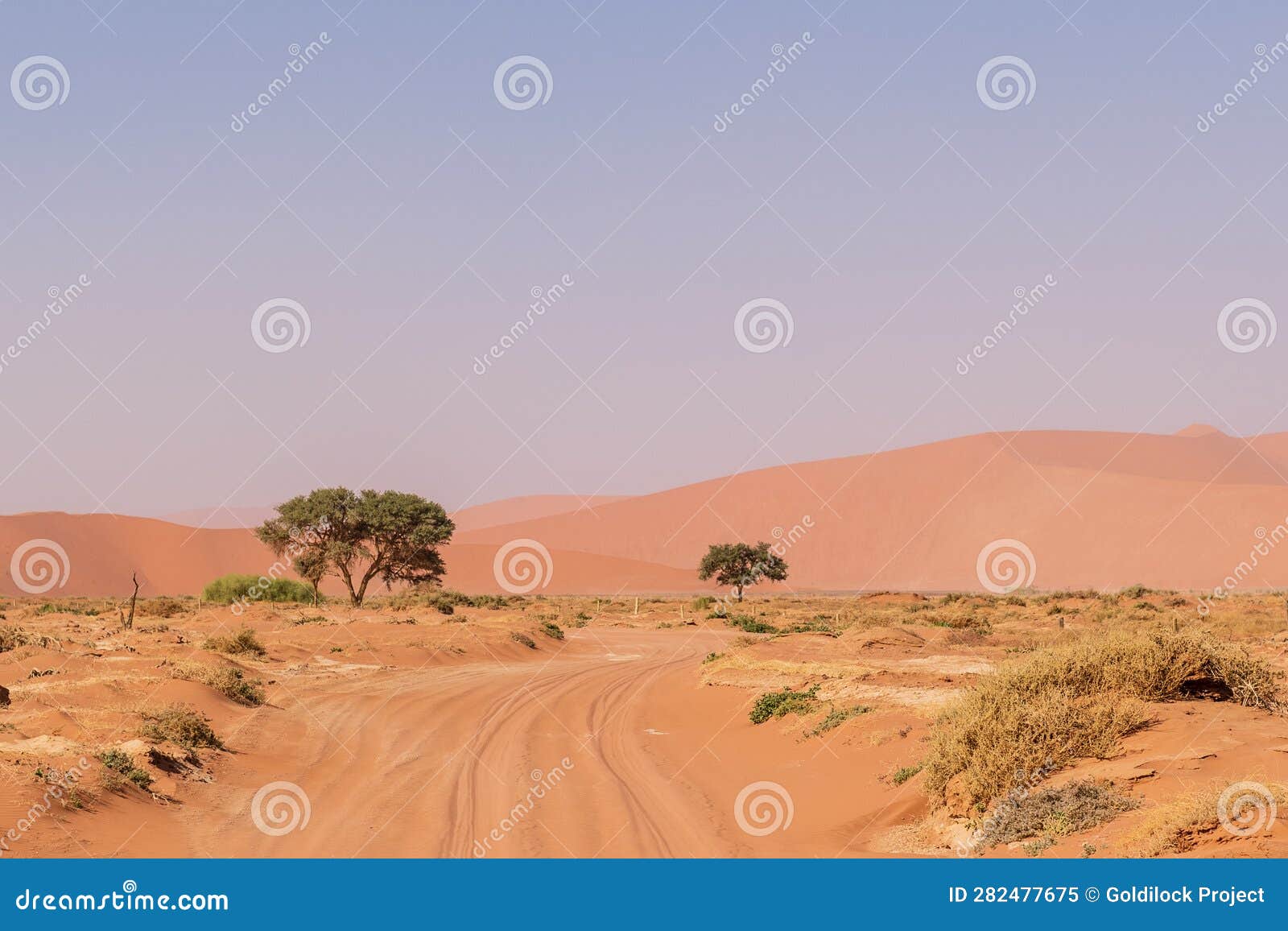 desert landscape near sossusvlei