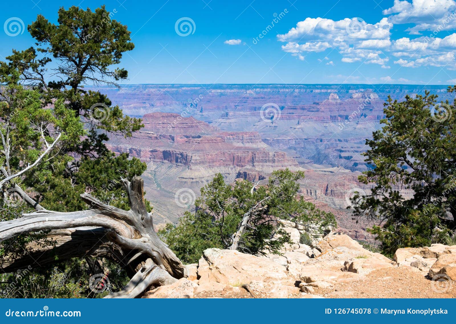 Desert Landscape Of The Southwest Of The USA. Grand Canyon ...