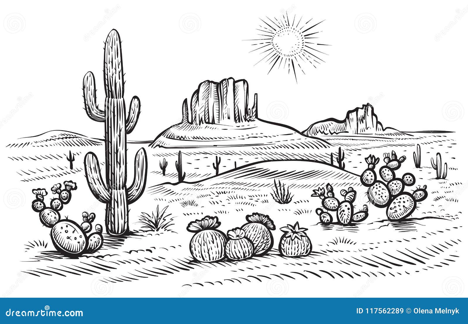 desert landscape   with saguaro and opuntia blooming cactus.