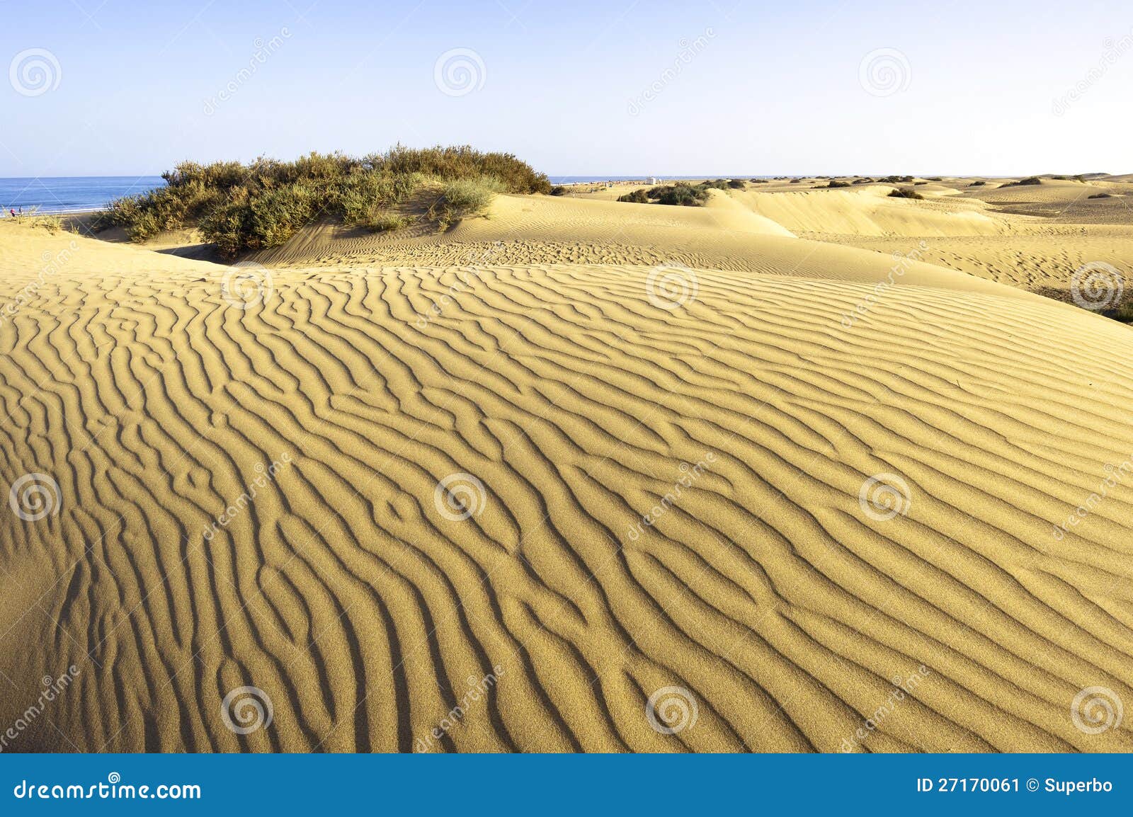 desert maspalomas gran canaria