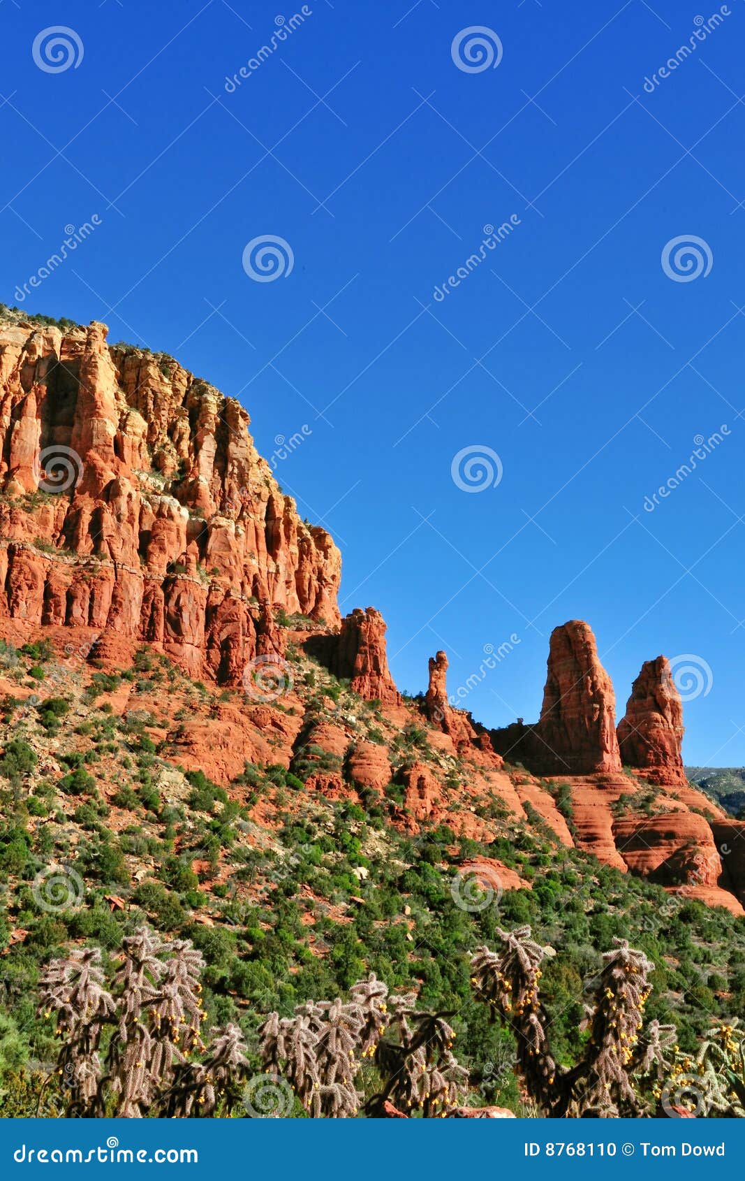 Desert mesa plateau stock photo. Image of mesa, eroded 8768110