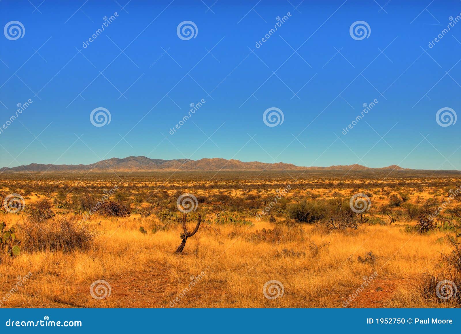Desert Mountain 107 stock photo. Image of desert, national 1952750