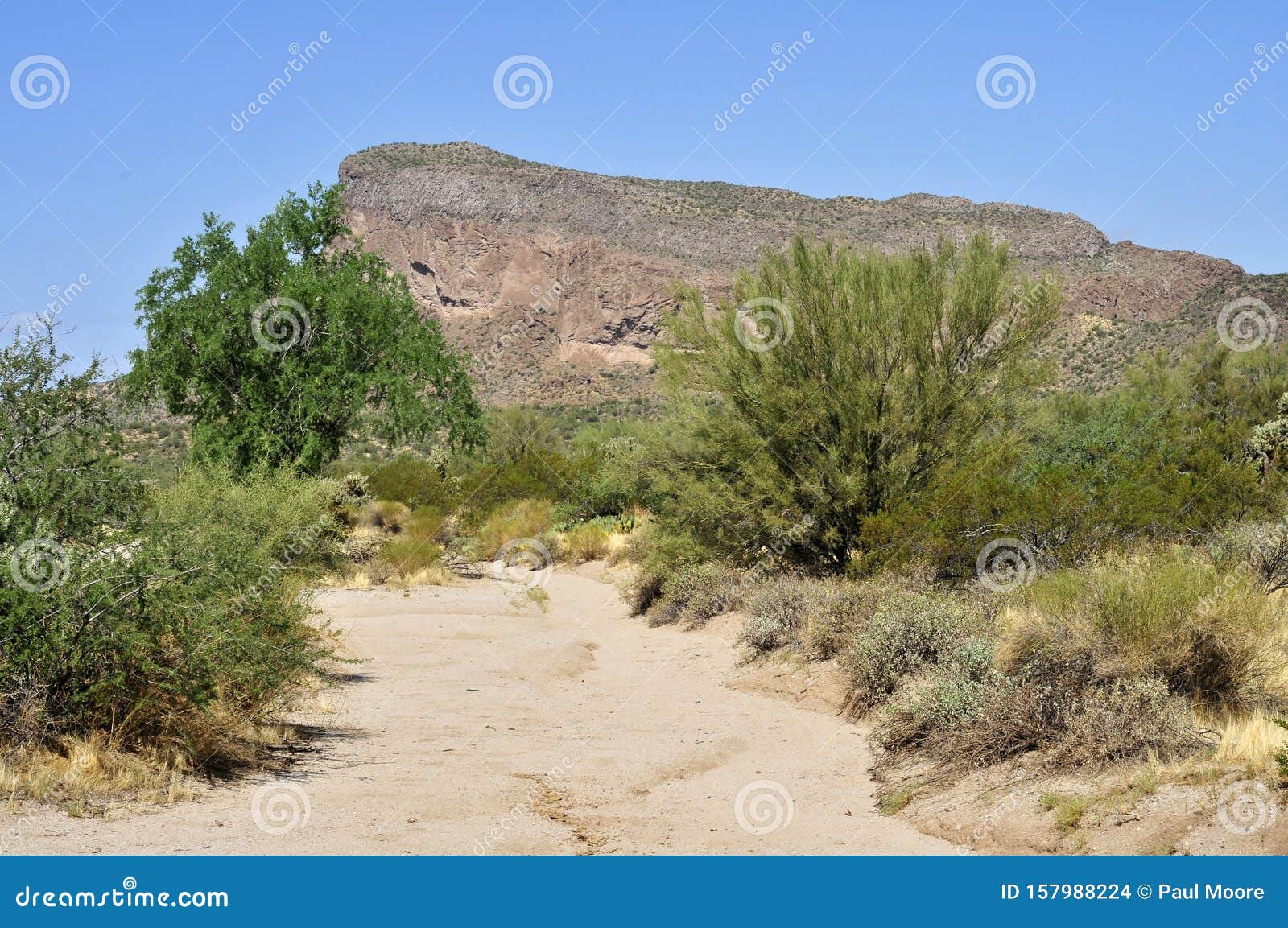 narrow arizona desert arroyo