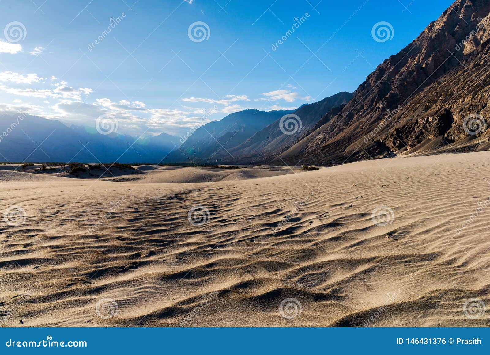 Desert of Nubra Valley, Leh, Ladakh, Jammu and Kashmir, Northern India  Stock Photo - Image of asia, holiday: 146431376