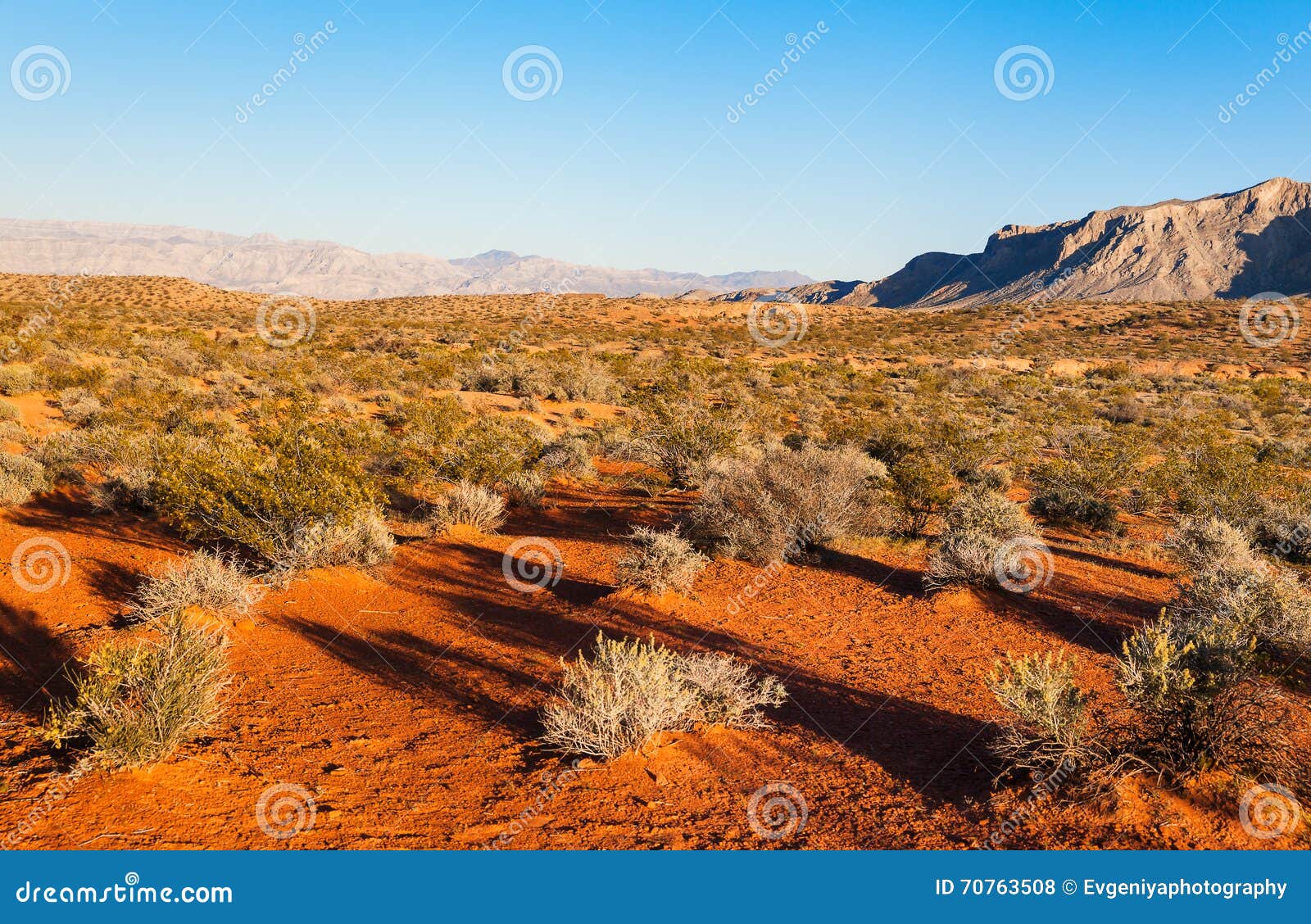 Desert over sunset, Nevada stock photo. Image of landscape - 70763508