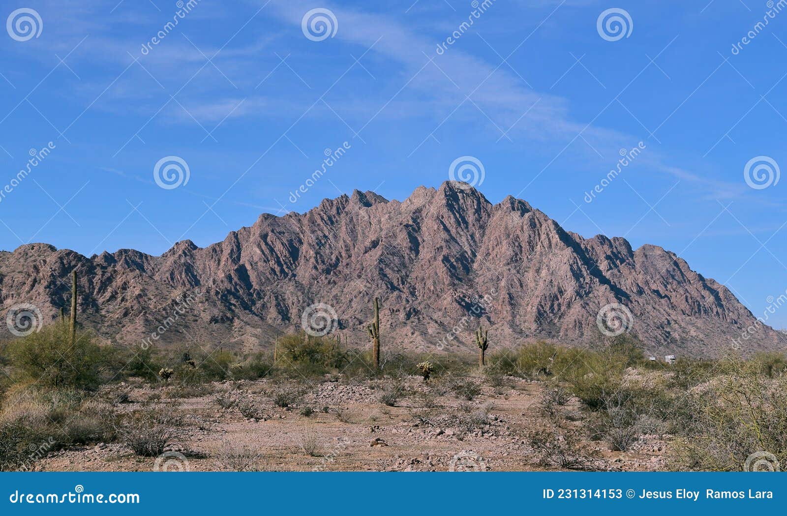 desert of pinacate park near puerto peÃÂ±asco, sonora xiii