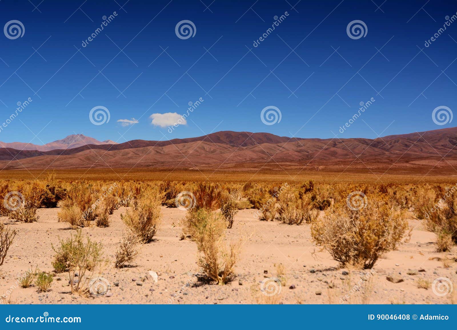 Desert of Puna in Argentina Stock Photo Image of altitude, argentina