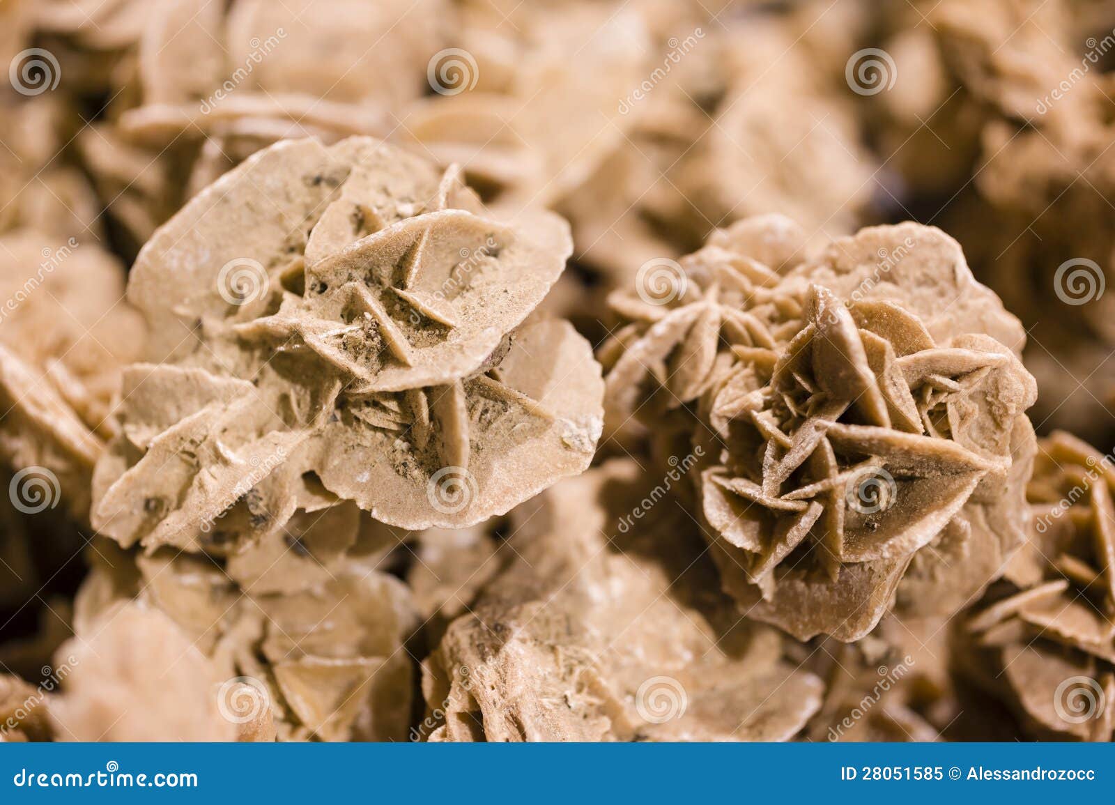 Desert Rose, Rosette Formations Stock Image Image of barite, rosette