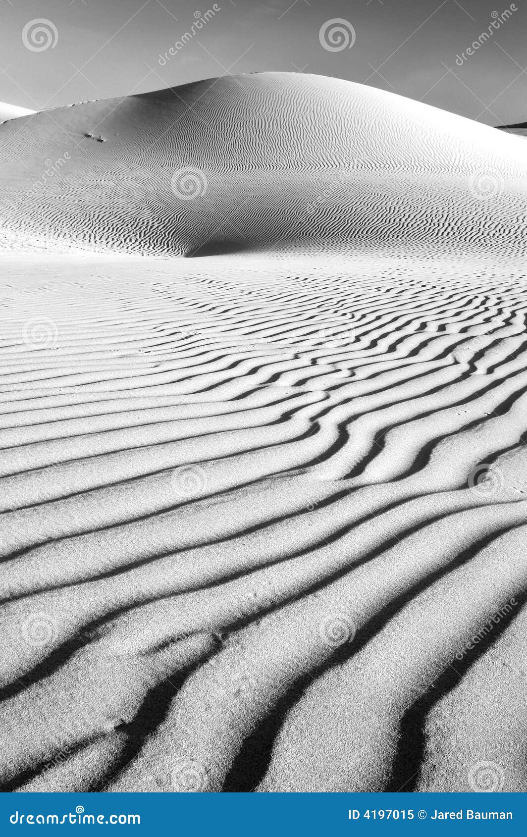 Desert Sand Dune stock image. Image of ripple, texture - 4197015
