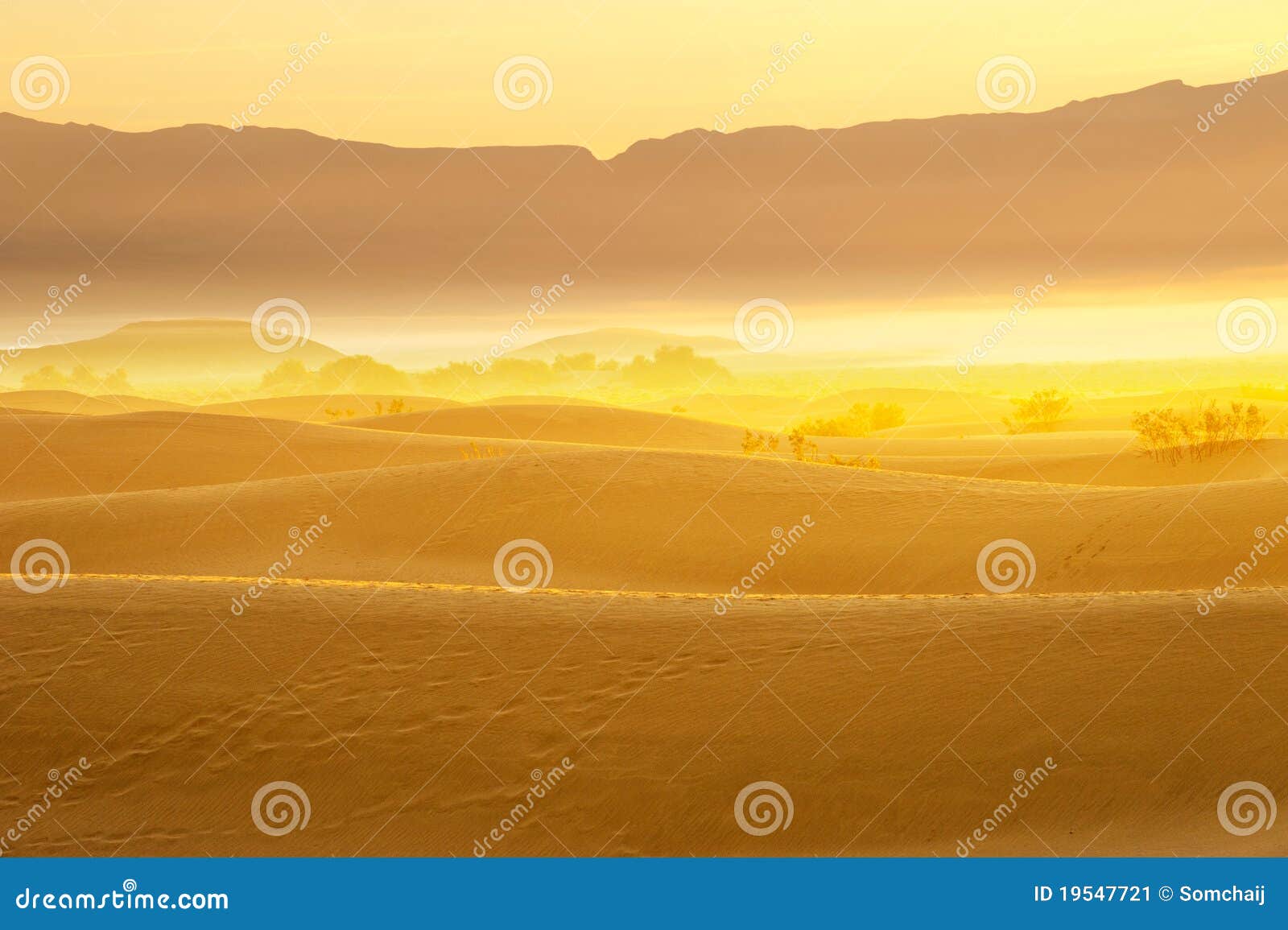 black light poster desert dunes black light poster desert dunes