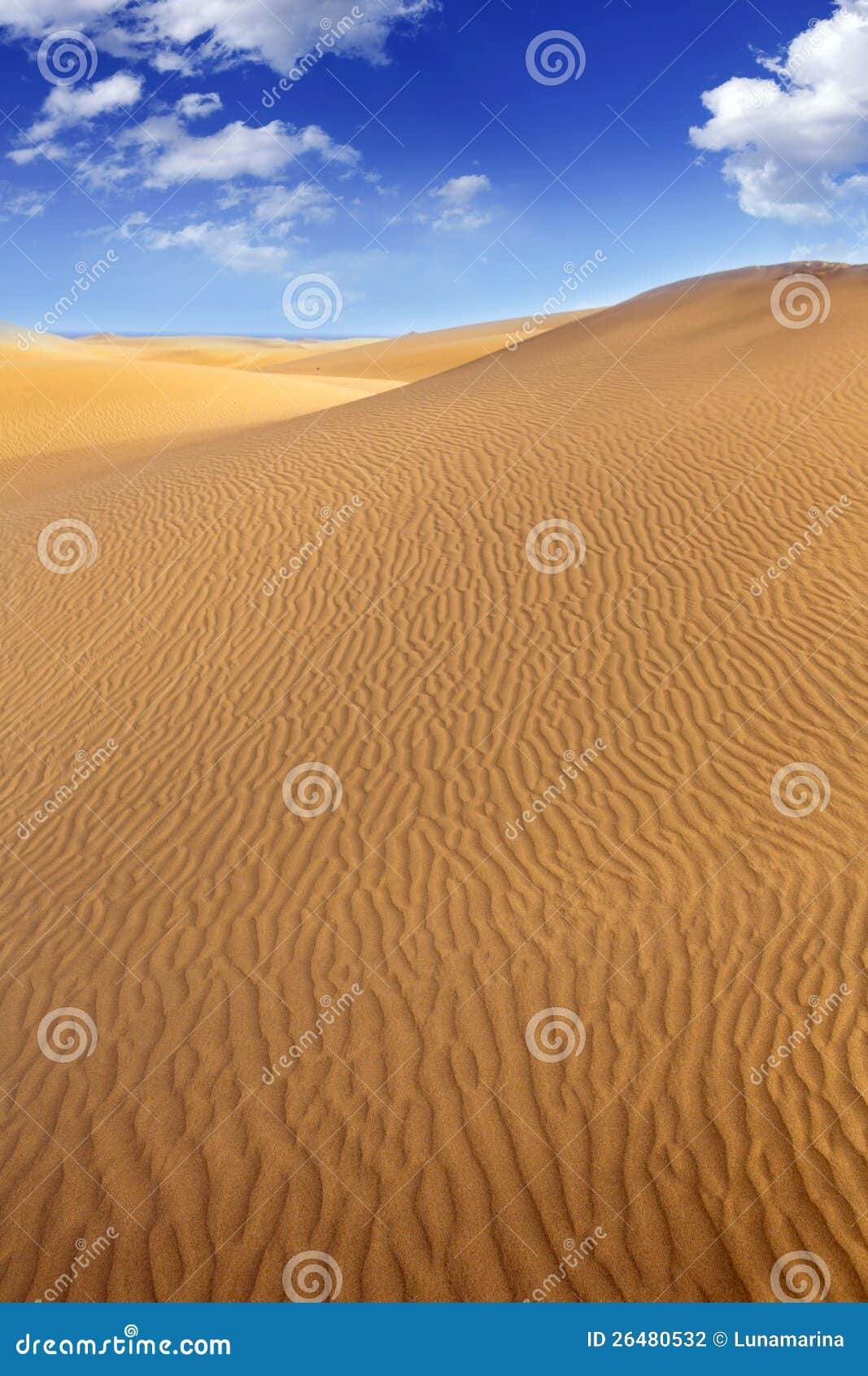 desert sand dunes in maspalomas gran canaria