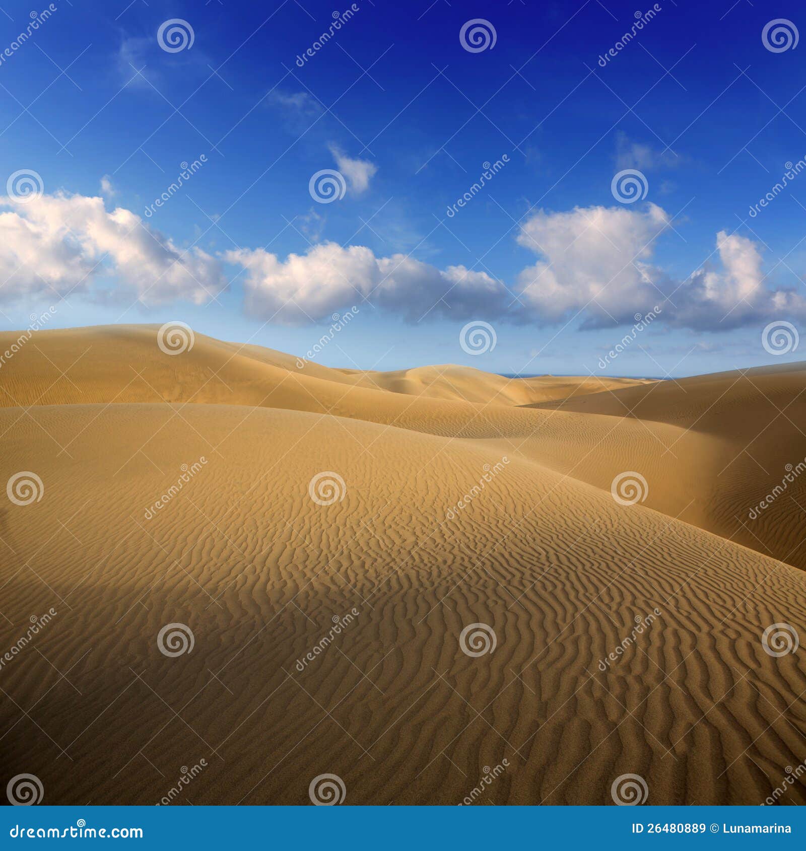 desert sand dunes in maspalomas gran canaria