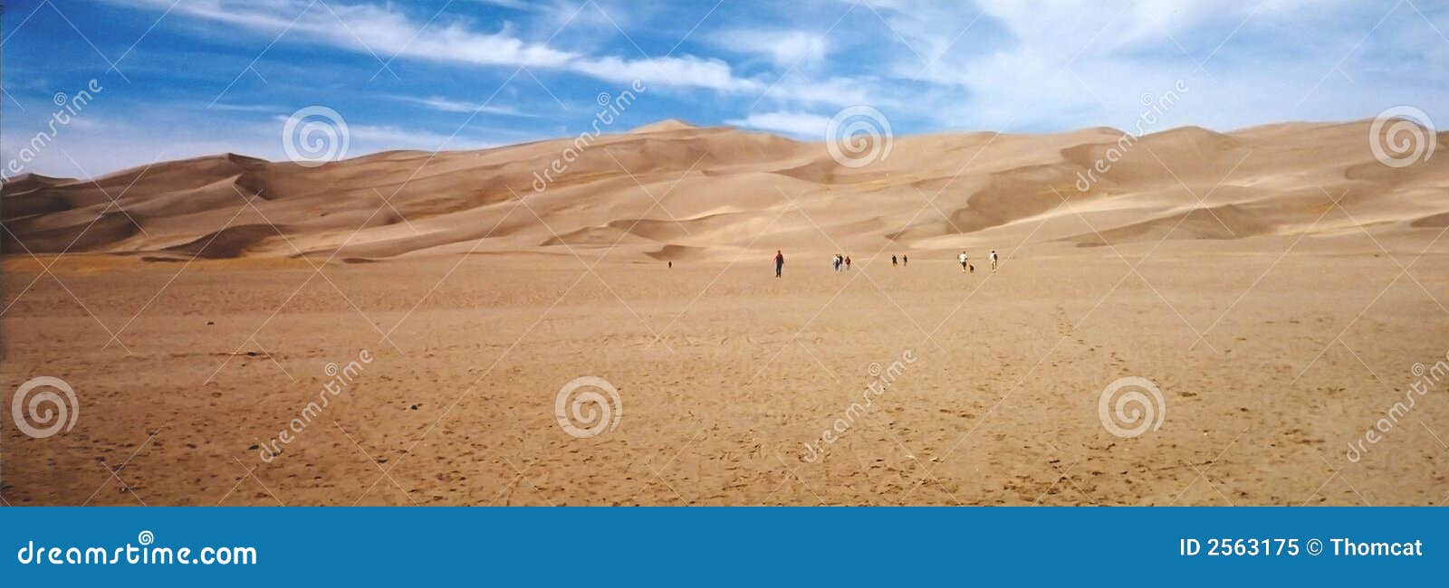 Desert Sand Dunes New Mexico Stock Image Image of standing, sand 2563175