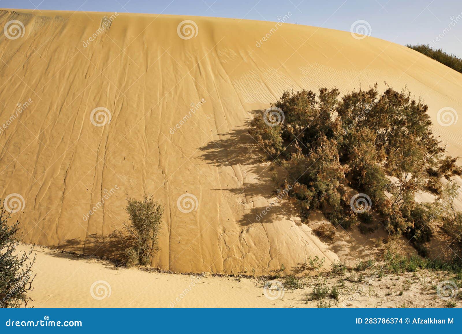 desert sand pattern at abqaiq dammam saudi arabia