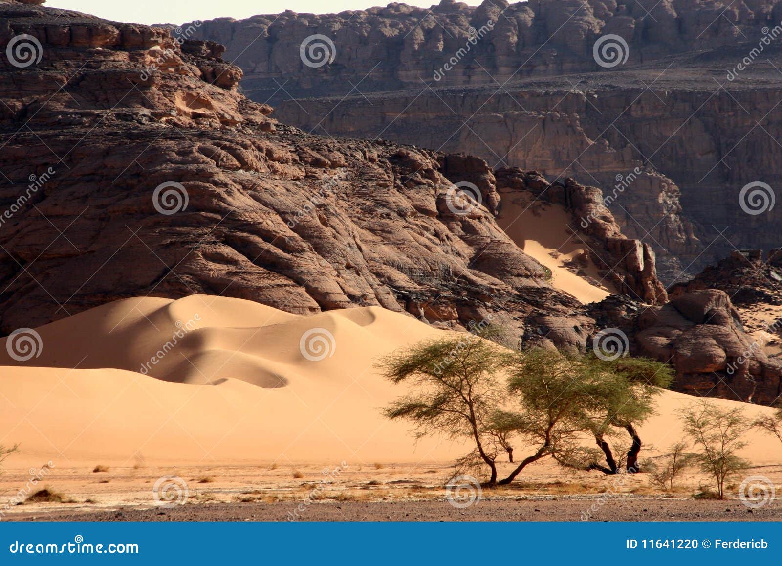 Desert scenes13 stock photo. Image of immense, dunes - 11641220