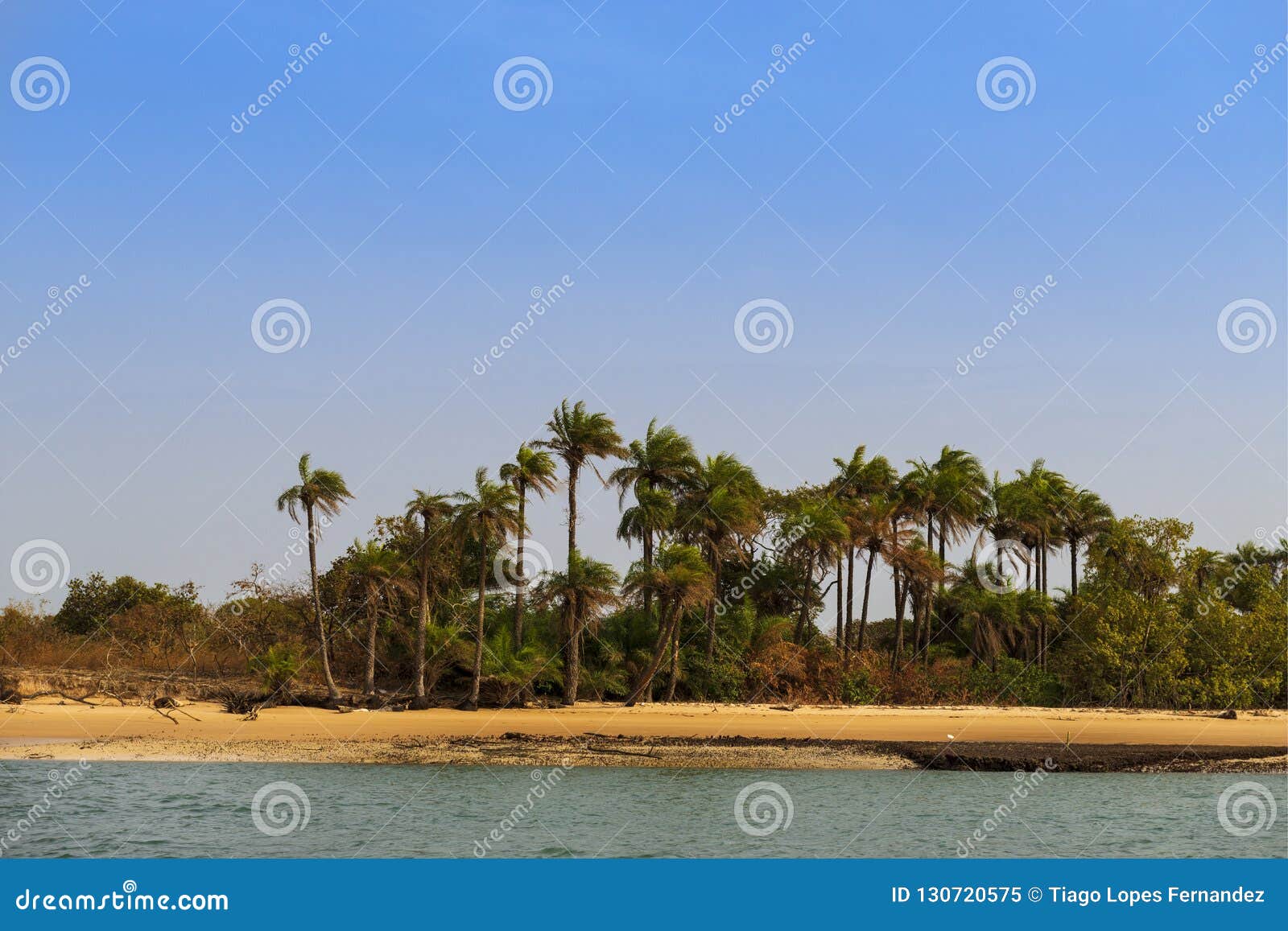 deserted beach with palm trees in the island of orango in guinea bissau.