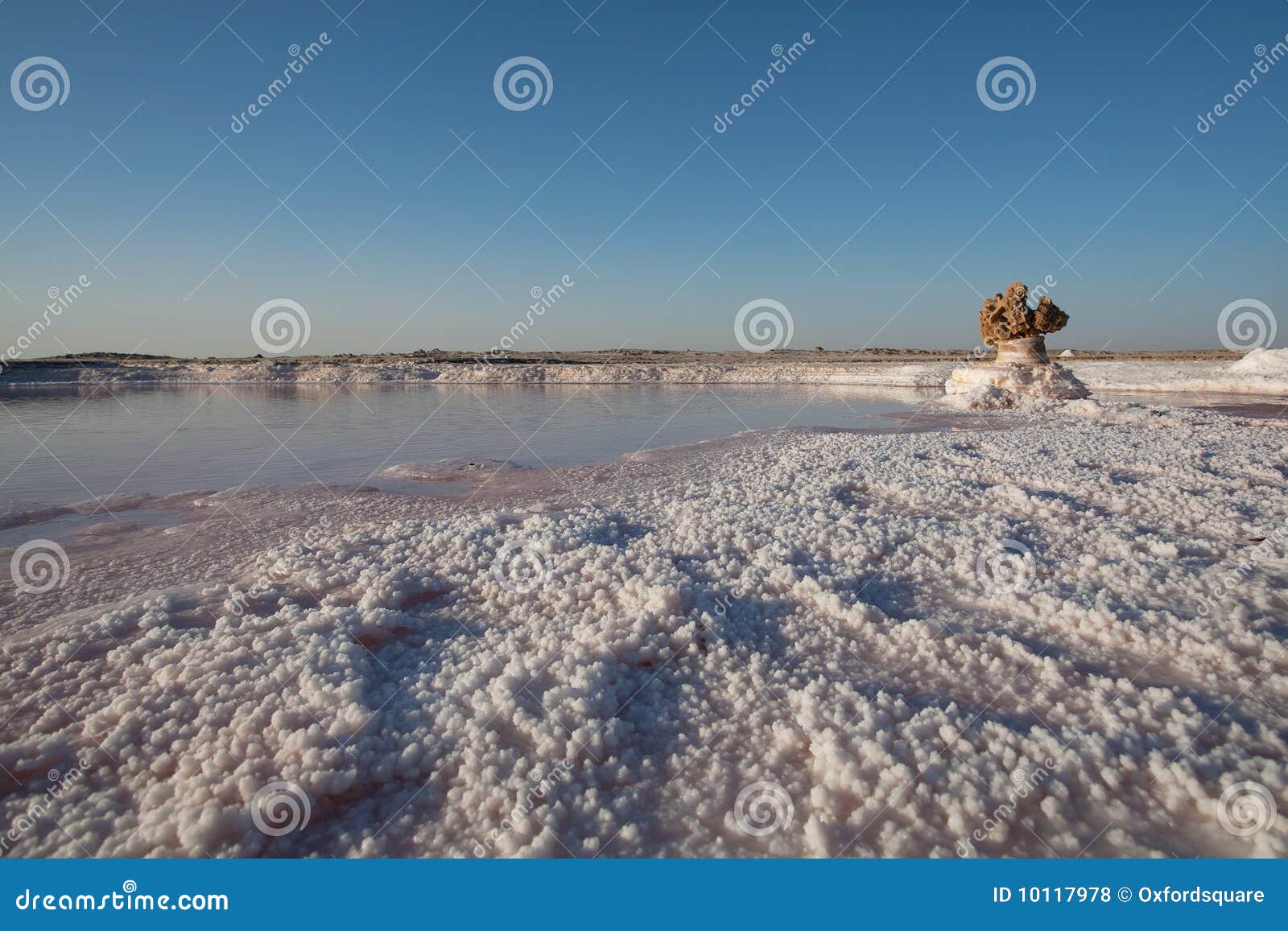 Deserto Del Sale in Tunisia Fotografia Stock Immagine di caldo, sale