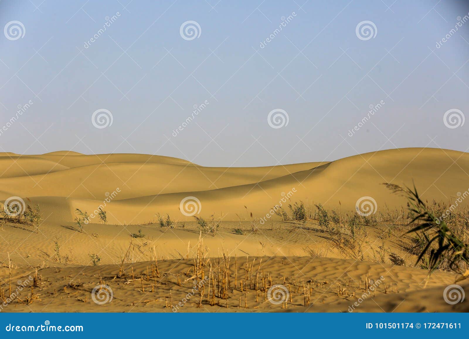 Deserto di Taklimakan. Fotografia del deserto in Xinjiang, Cina di Taklimakan