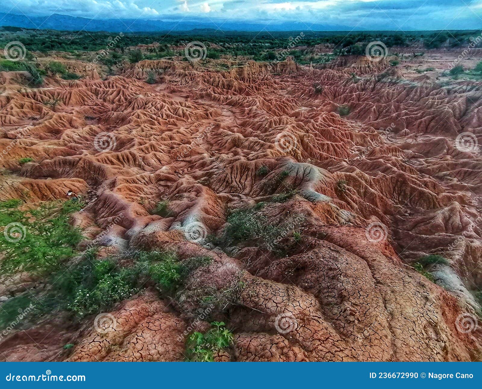 desierto de la tatacoa, huila. colombia