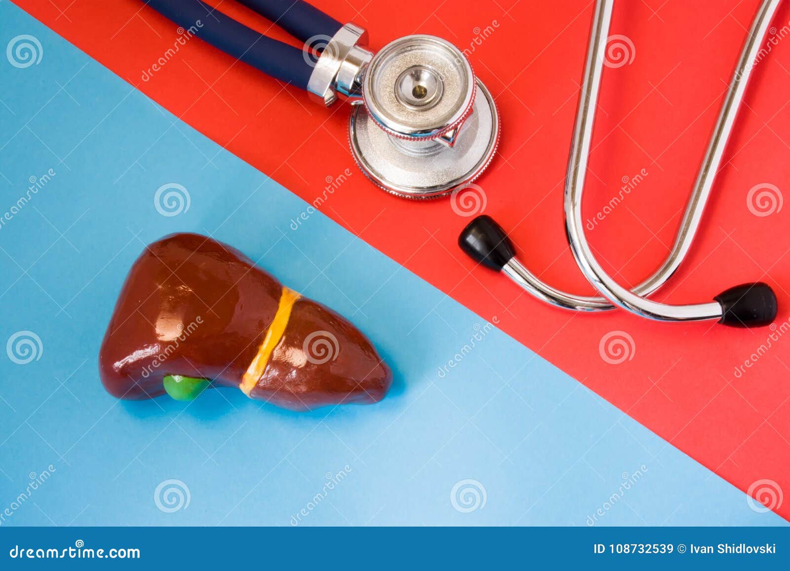  concept of diagnosis and detecting diseases of digestive & endocrine system organ - liver and gallbladder. stethoscope and