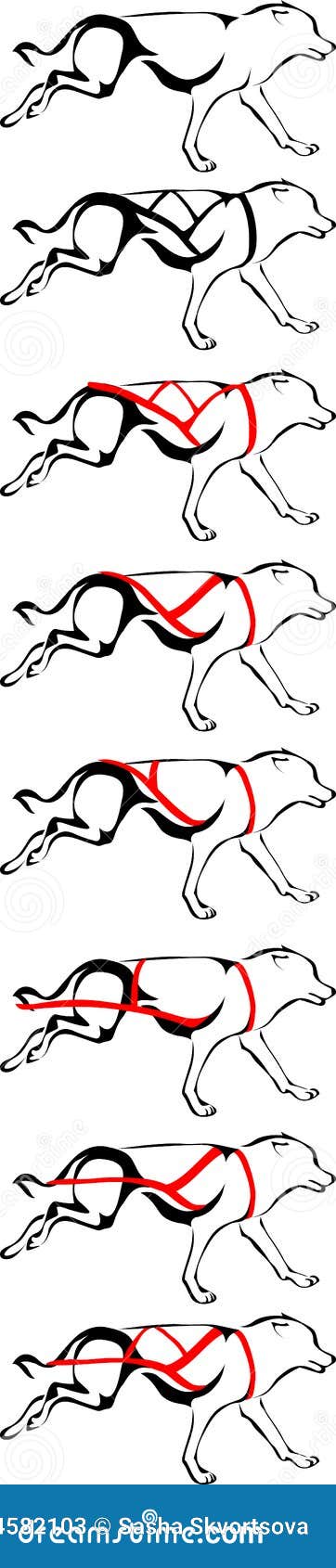 sled dog harness types