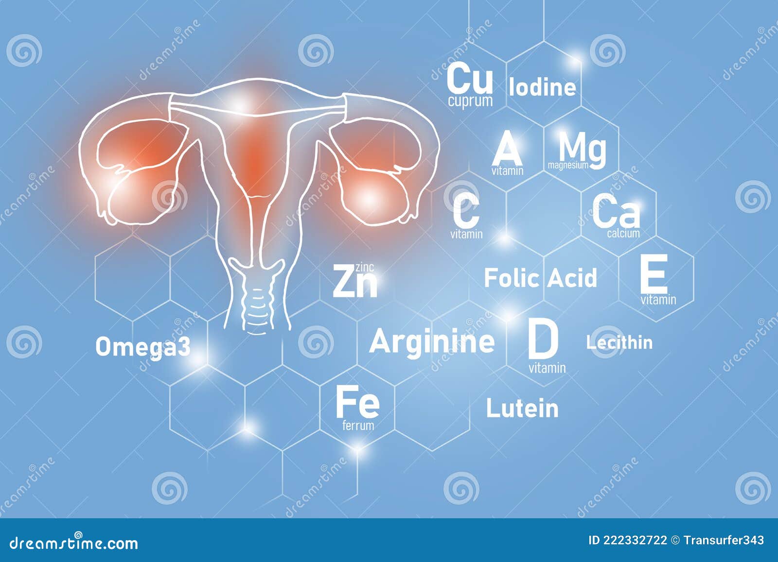Essential Nutrients for Uterus Health Including Omega 3, Arginine