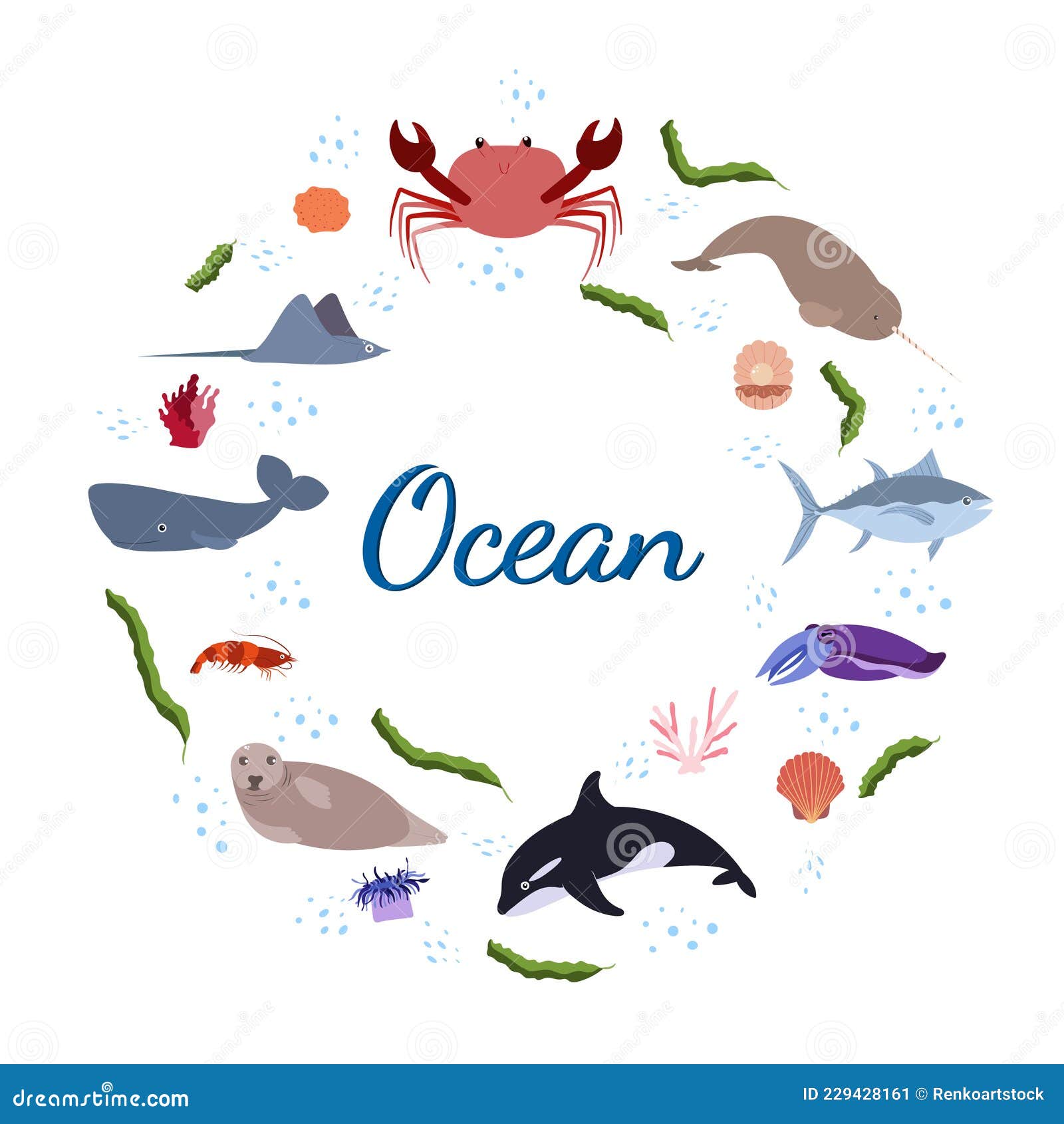 Design Template with Sea Animal in Circle for Kid Print. Round Composition  of Marine Animals, Crab and Seal, Whale Stock Vector - Illustration of  character, print: 229428161