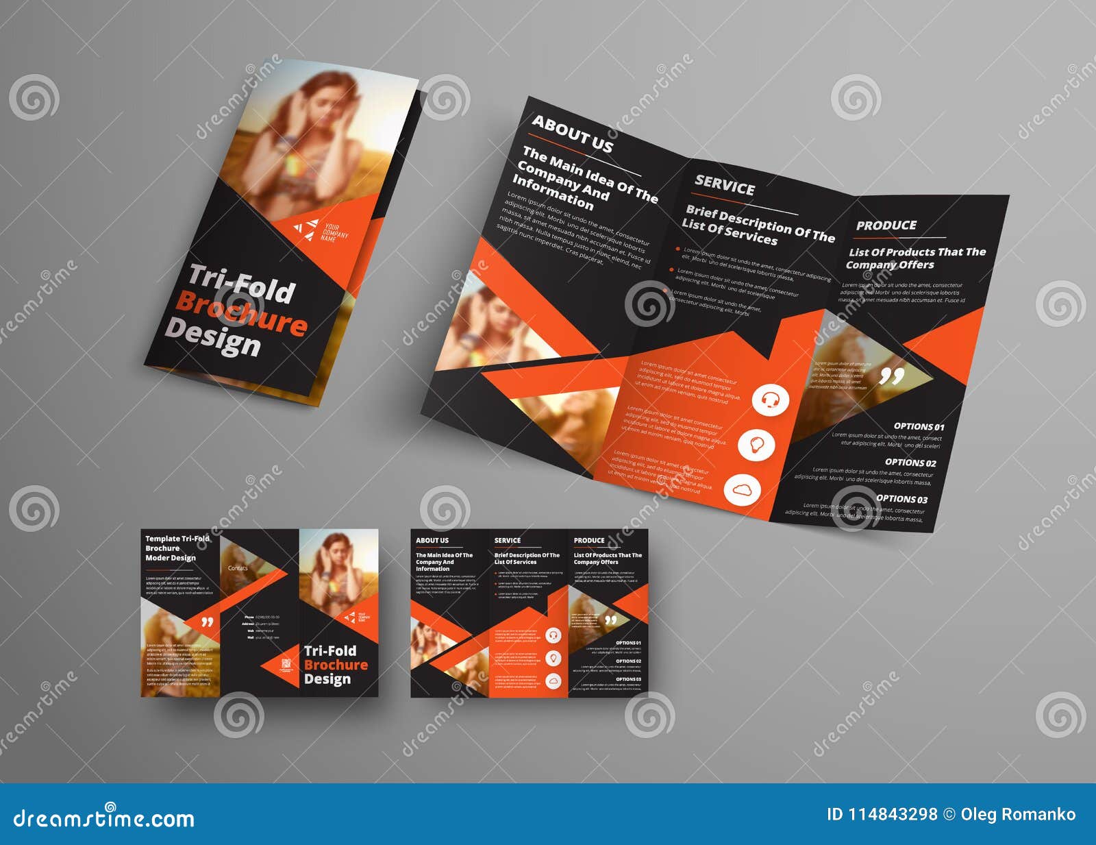  of a  tri-fold brochure with orange triangular elem