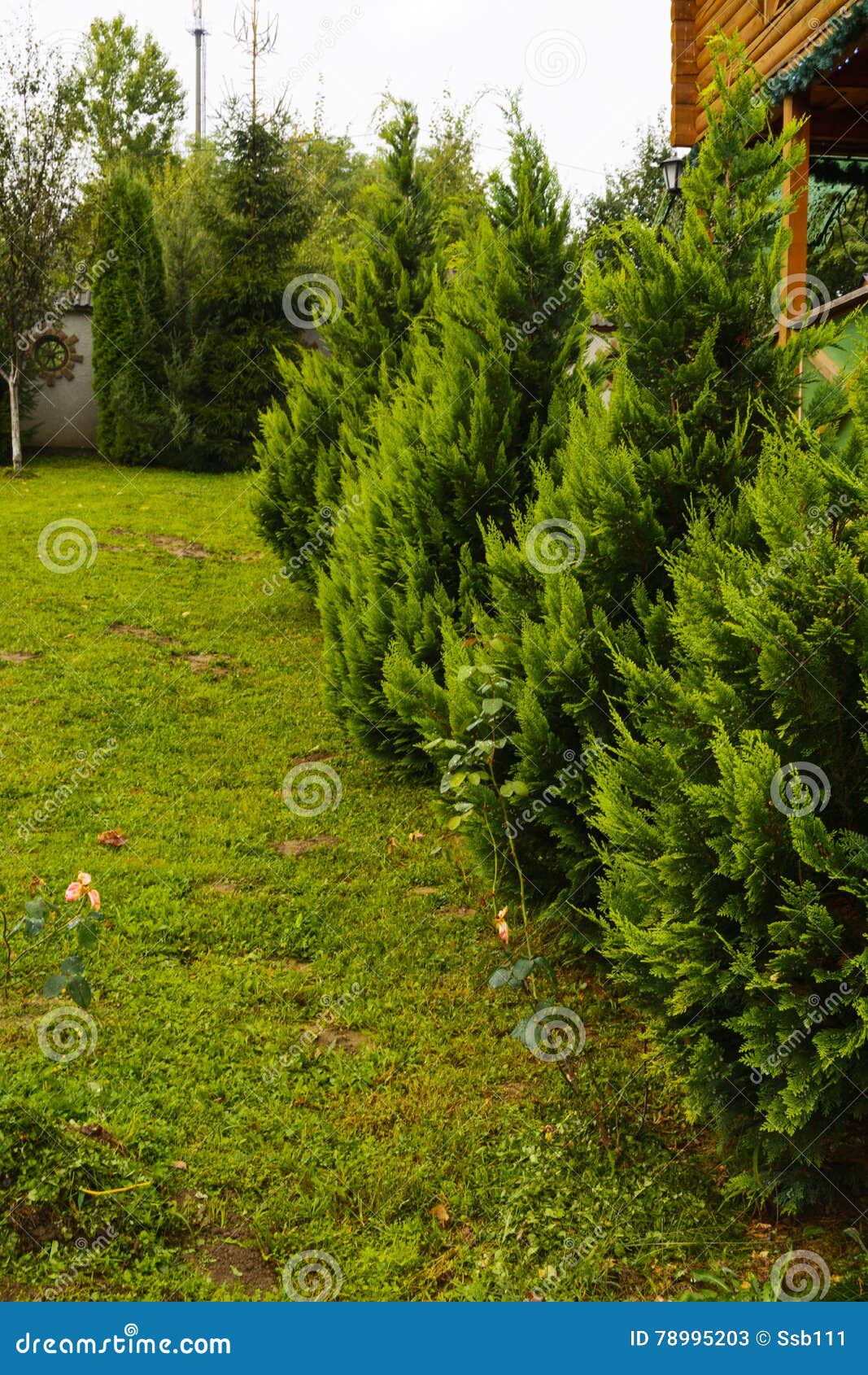 Design in the Yard of a House Stock Image Image of exterior, lush
