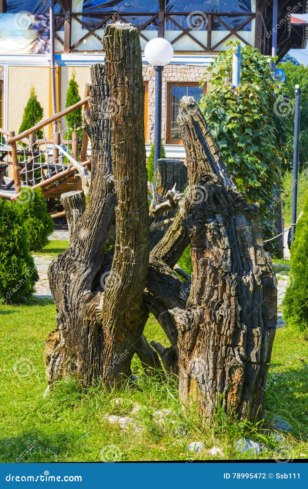 Design in the Yard of a House Stock Photo Image of light, beauty