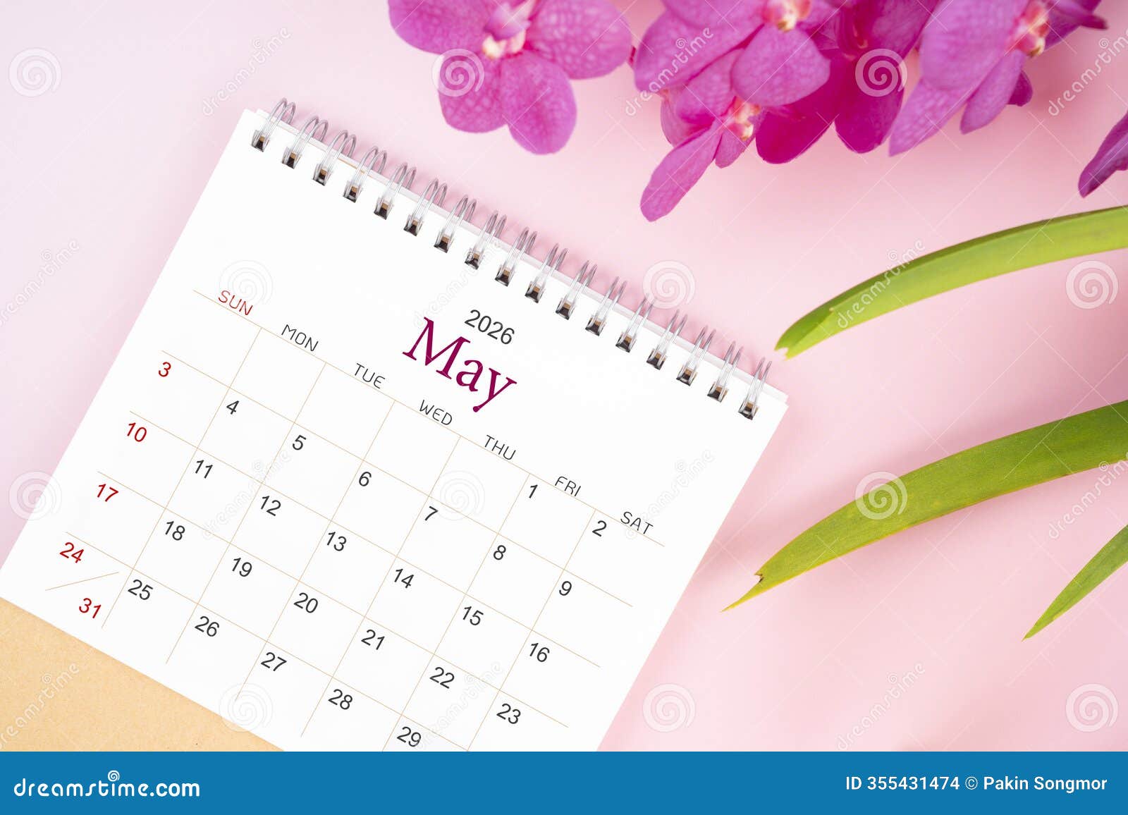 Desk Calendar for May 2026 with Blooming Pink Orchid. Flay Lay Stock