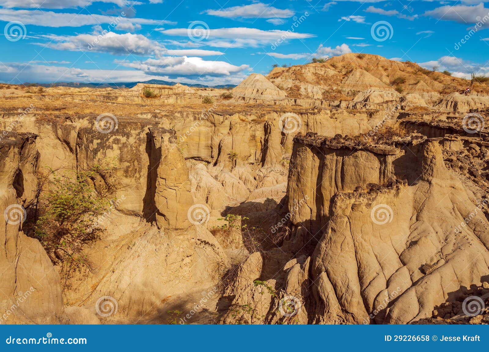 desolate desert canyon
