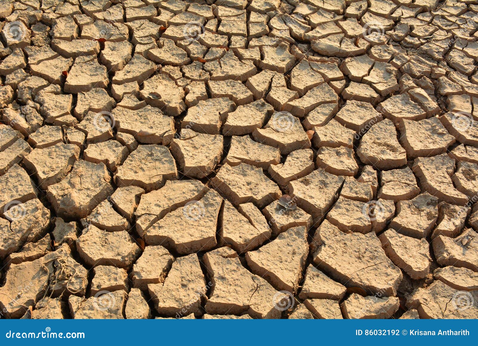 Desolate Land or Dry Areas, No Hopes and Despair Stock Photo Image of