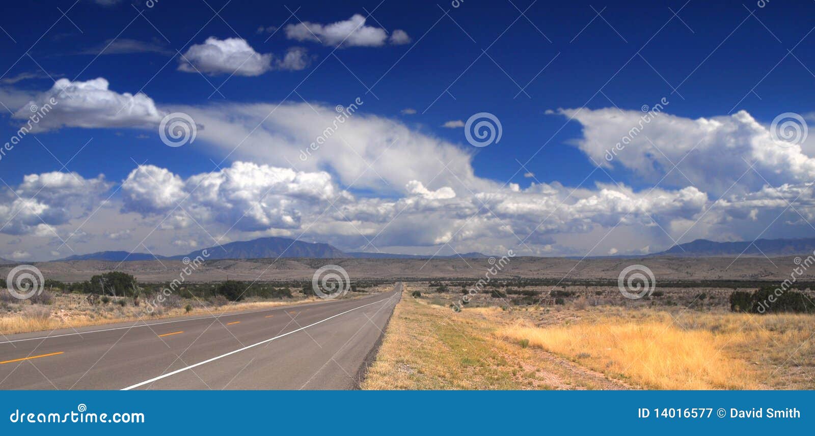 desolate road in new mexico