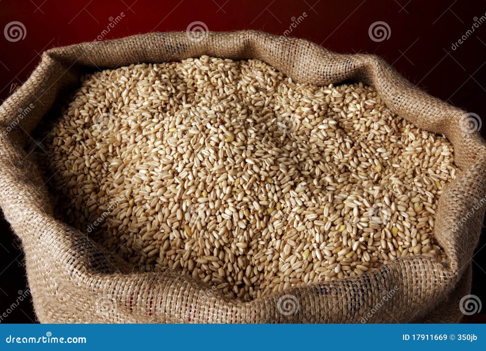 Despeça enchido com o trigo. Feche acima do tiro de um saco de serapilheira enchido com as sementes de trigo