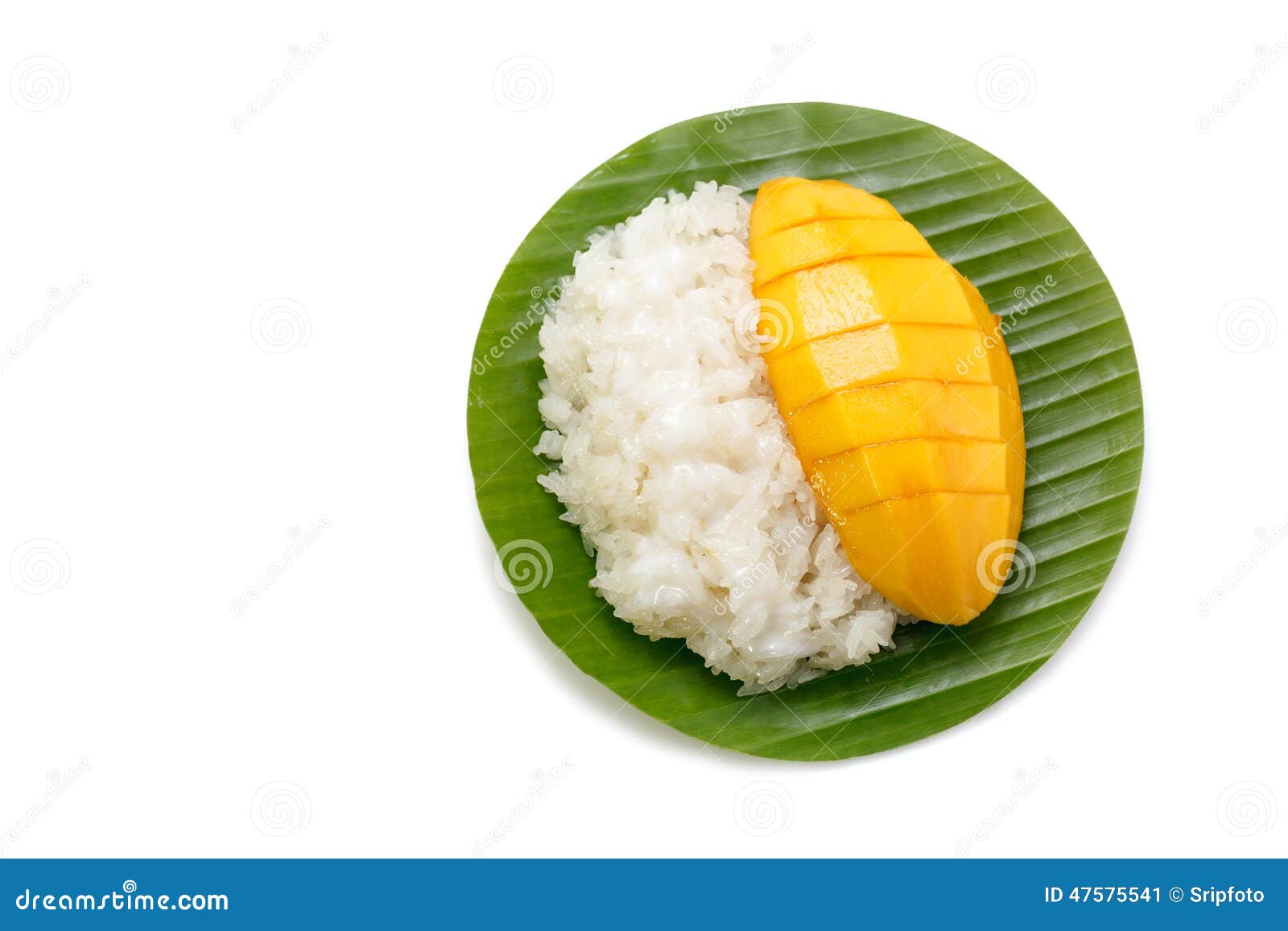 Dessert Sweet Sticky Rice with Mango Coconut Milk Stock Image Image