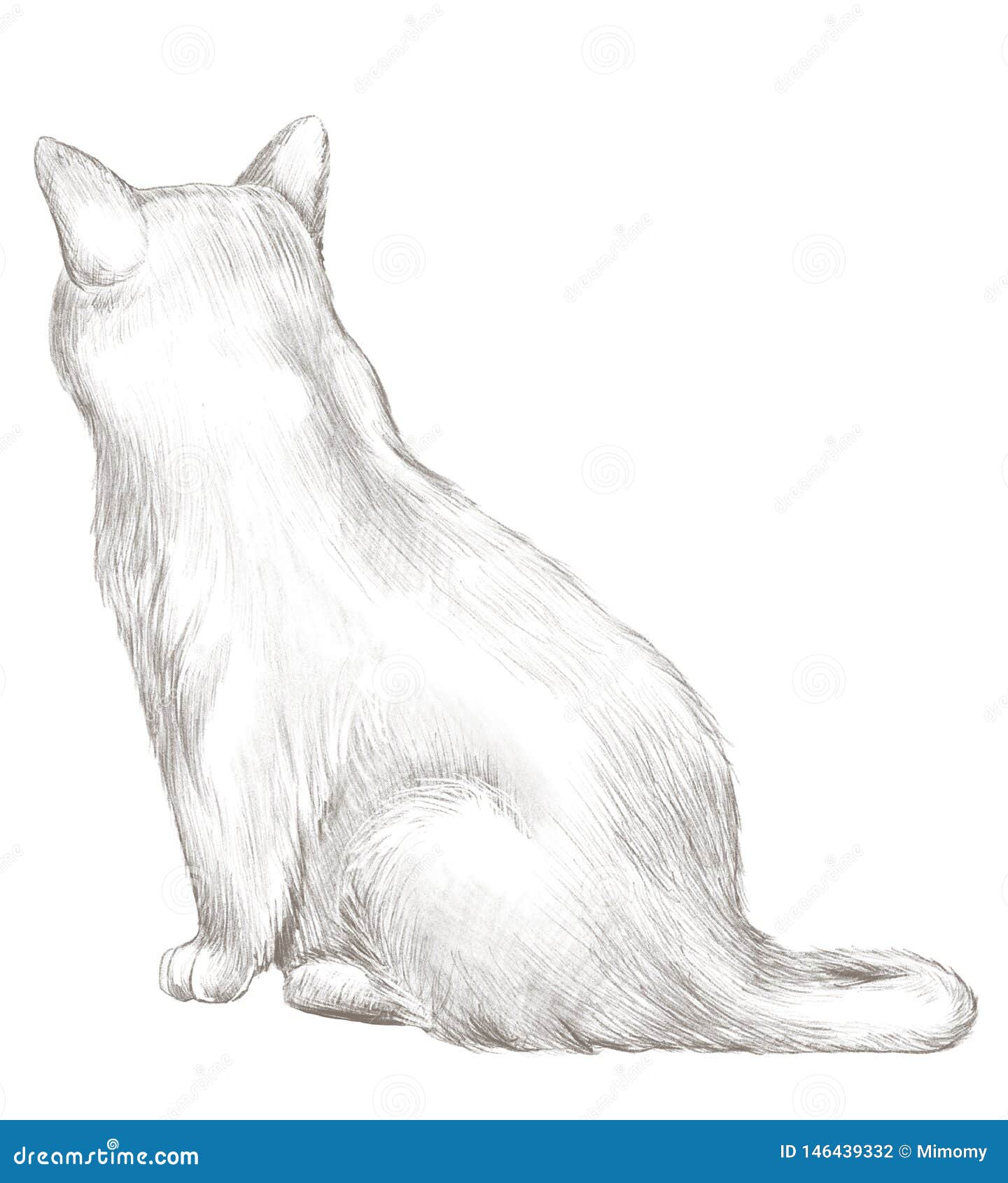 Dessin Au Crayon Avec Reposer Le Chat Gris Arrière