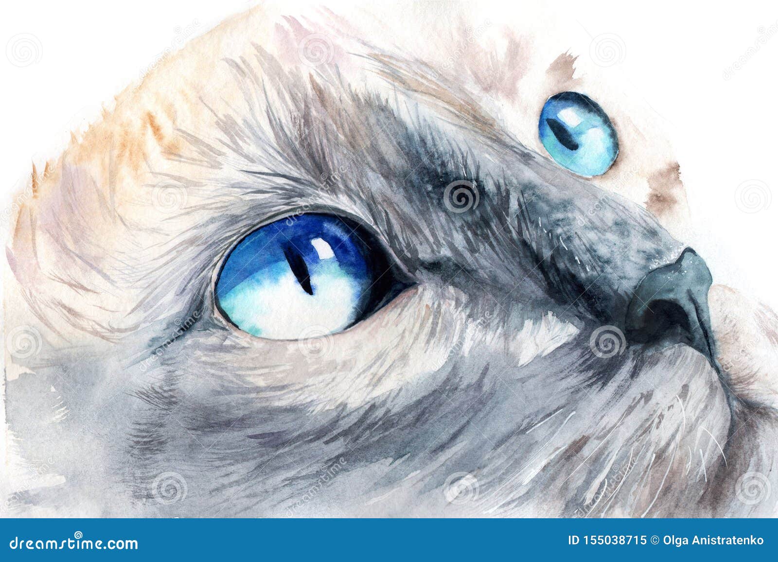 Dessin D Aquarelle Du Visage D Un Chat Avec Des Yeux Bleus Illustration Stock Illustration Du Image Blanc Dessin D Aquarelle Du Visage D Un Chat Avec Des Yeux Bleus Illustration Stock Illustration Du Image Blanc