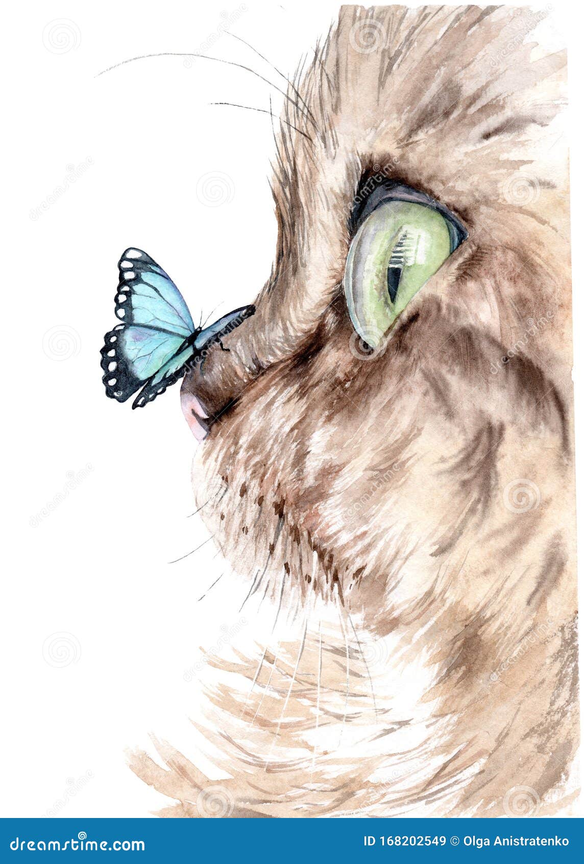 Dessin D Aquarelle D Un Chat Avec Un Papillon Sur Son Nez Illustration Stock Illustration Du Regard Fond