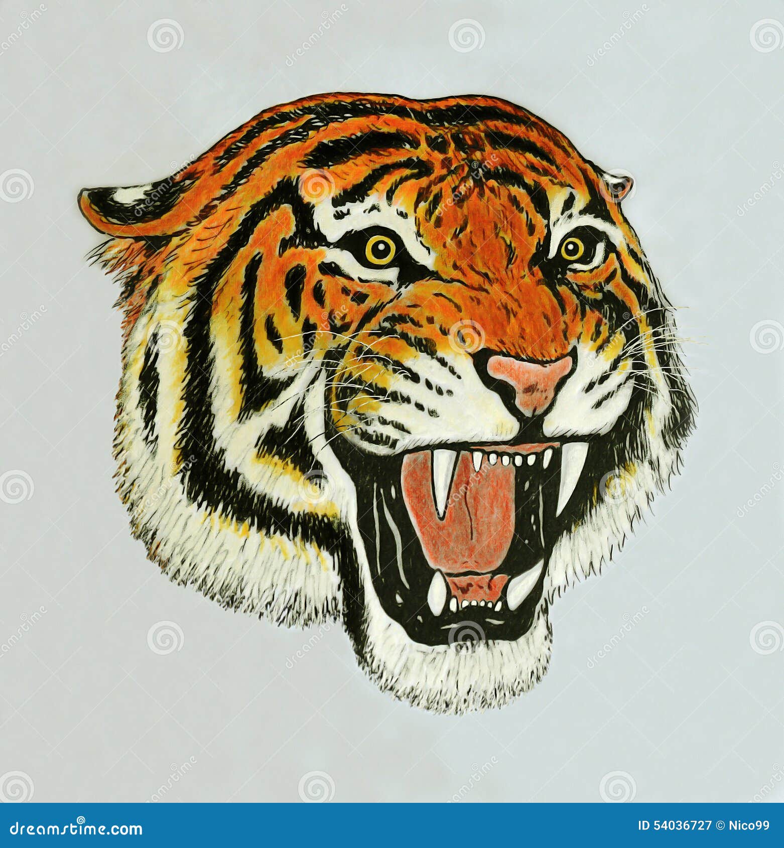 Dessin D hurlement De Tigre Illustration Stock Dessin D hurlement De Tigre Illustration Stock