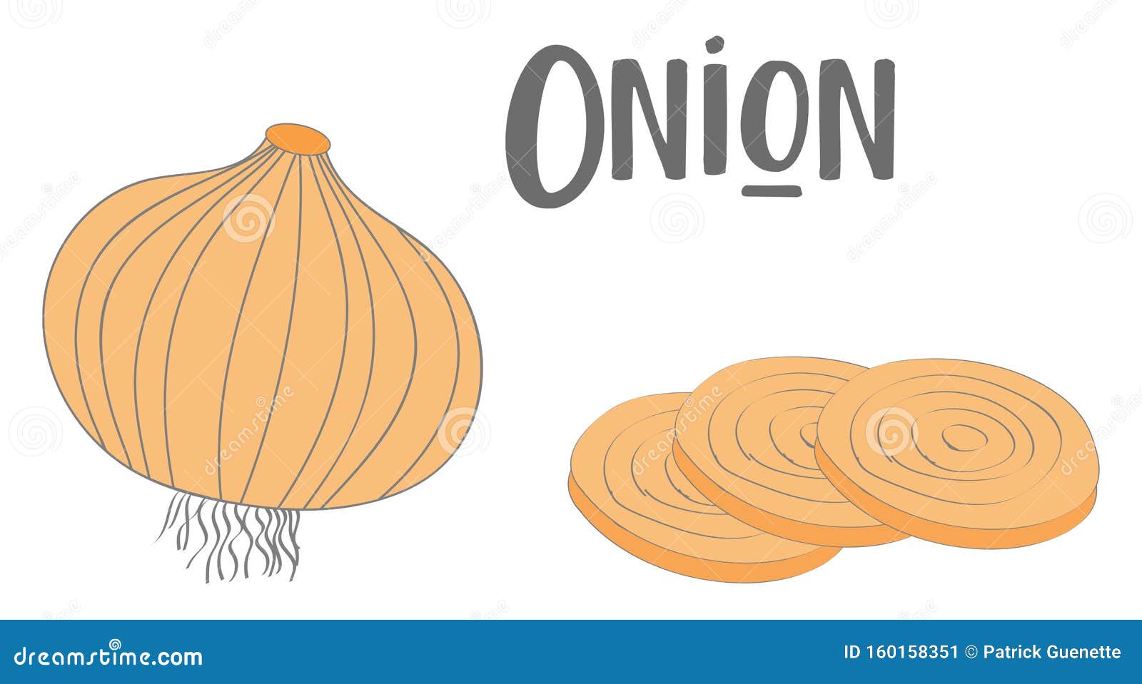Dessin D Un Oignon Entier Et De Trois Tranches De Vecteur Oignon Ou Illustration De Couleur Illustration De Vecteur Illustration Du Vecteur Peau
